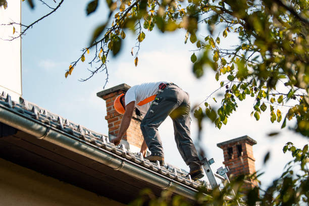 Best Roof Insulation Installation  in East Flat Rock, NC